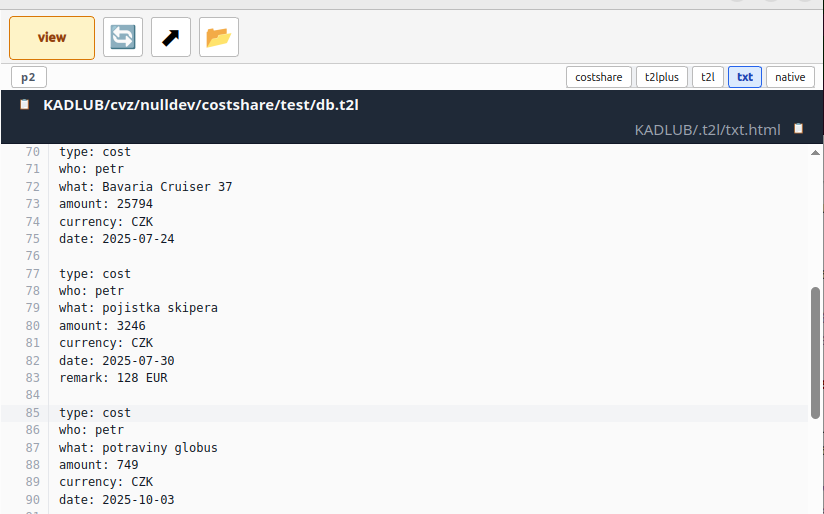 The same file switched to txt - plain text beneath that accounting
